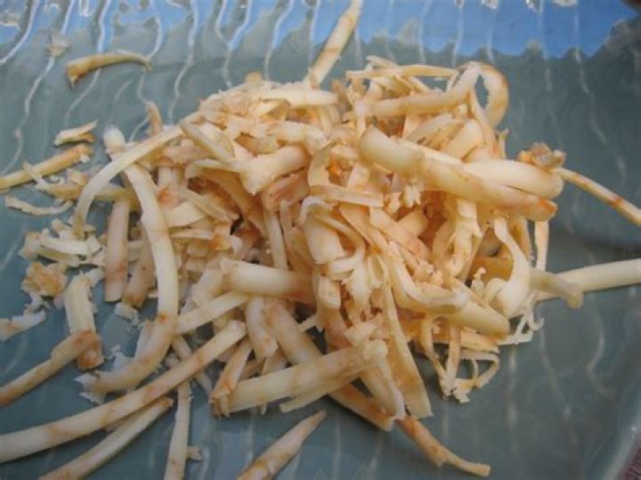 Are Susan Rice and Condoleezza Rice Related?