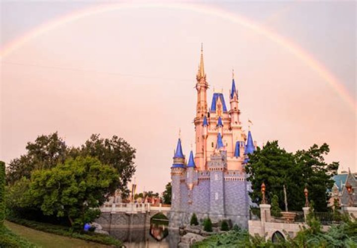 Beauty Untold: The Wonderful Colors of Walt Disney World