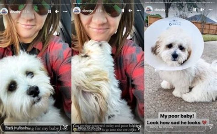 OutDaughered Star Danielle Busby Reveals Gus The Pup Is Terribly Sad