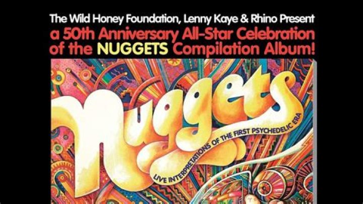 Rhino Records, Lenny Kaye & The Wild Honey Foundation Announce Nuggets All-Star Tribute