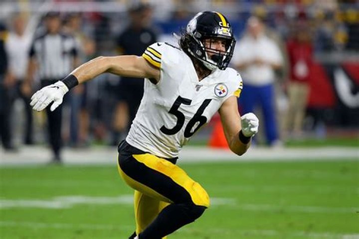 Steelers LB Anthony Chickillo's Assault Of Canadian Olympic Star Girlfriend Alysha Newman; Learn All The Details And The Aftermath