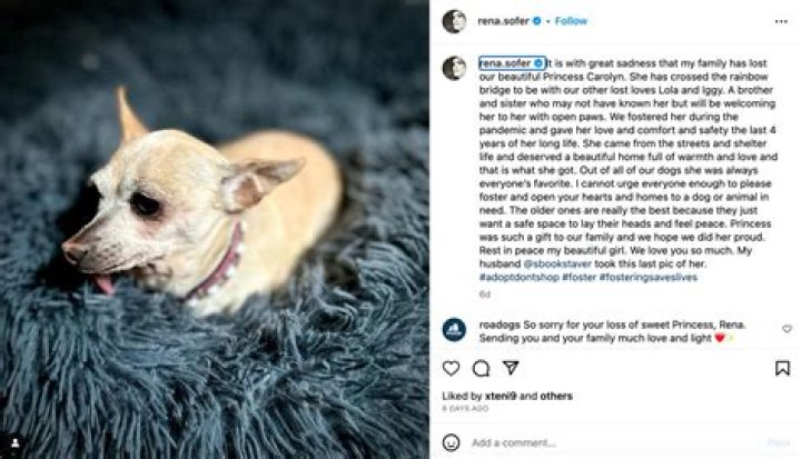 The Bold and the Beautiful’s Rena Sofer Shares Sad News