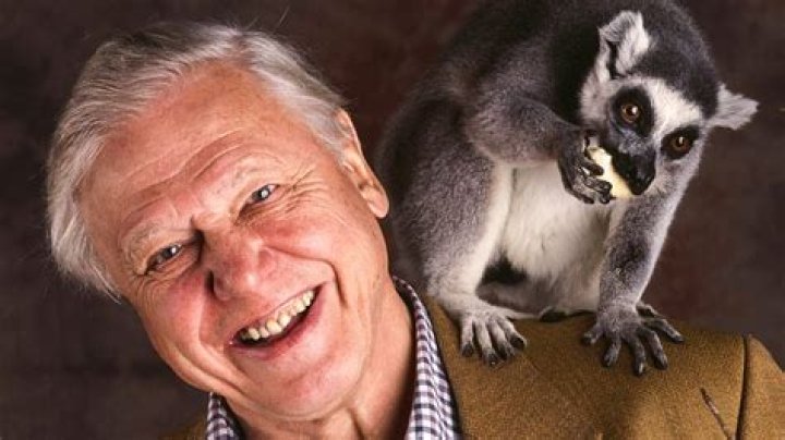 What Is David Attenborough Famous For?